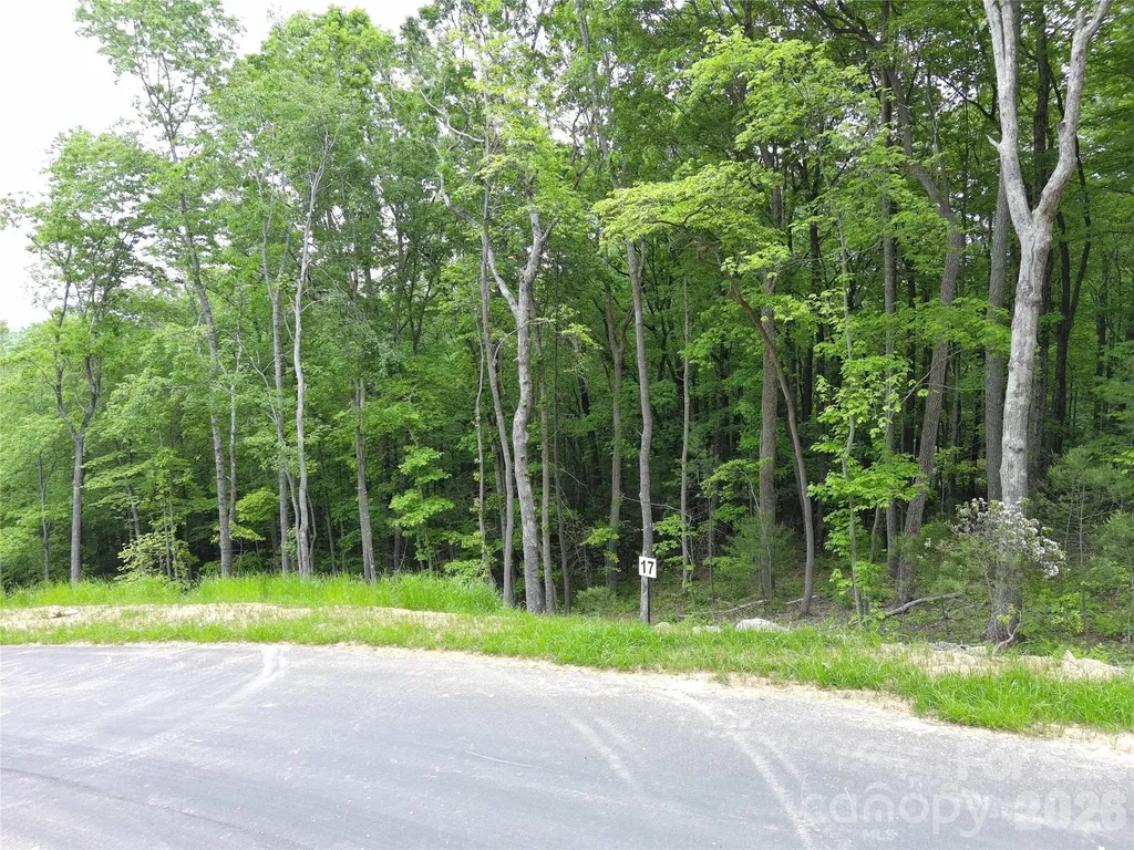 Lot 17 Northview Drive Hendersonville NC 28791