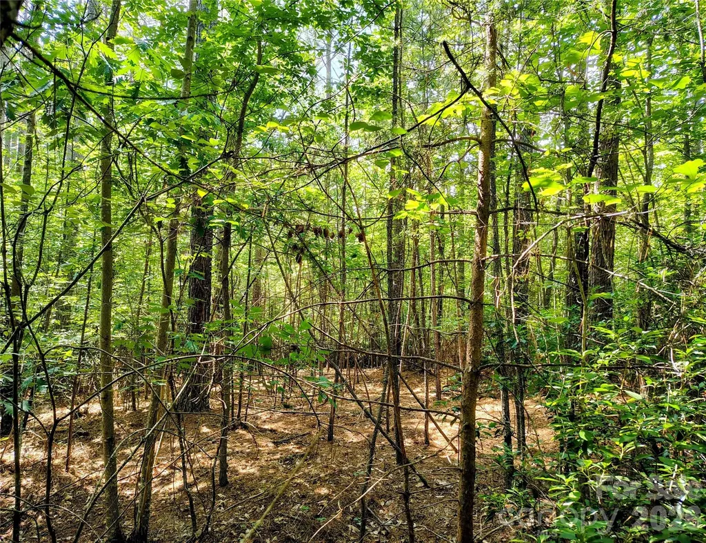 210 Harbor Ridge Drive Connelly Springs NC 28612