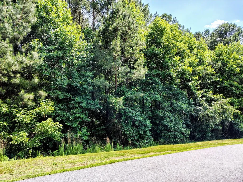 210 Harbor Ridge Drive Connelly Springs NC 28612