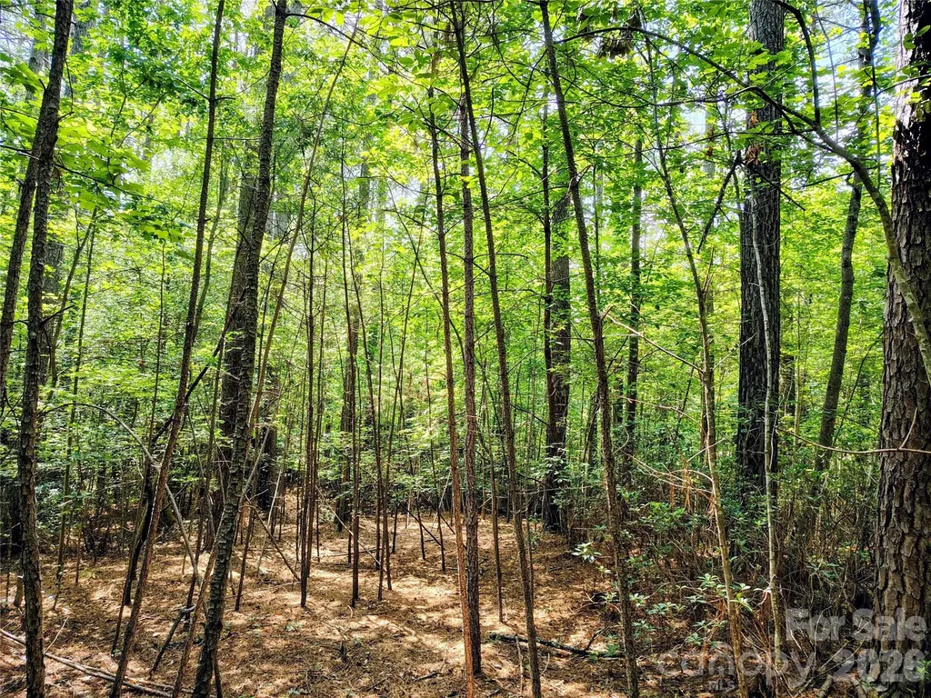 210 Harbor Ridge Drive Connelly Springs NC 28612