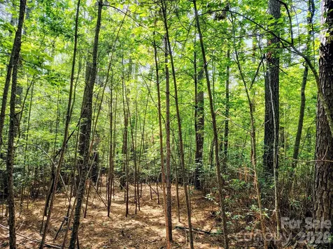 210 Harbor Ridge Drive Connelly Springs NC 28612