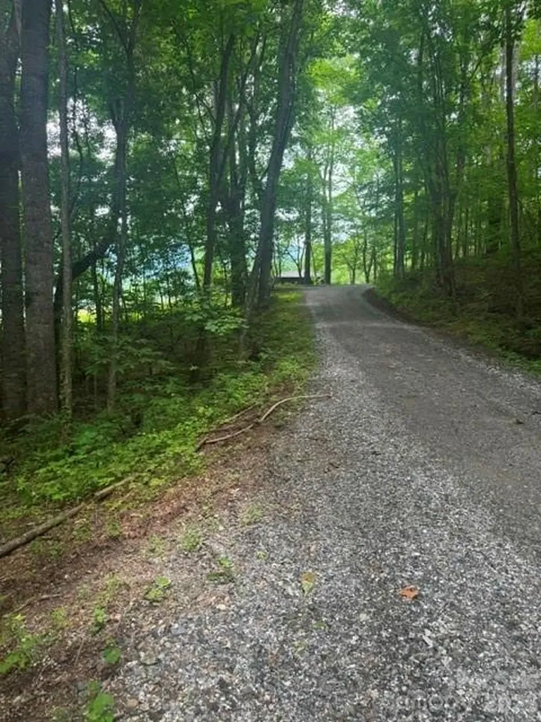 00 Sugar Loaf Mountain Road Marshall NC 28753