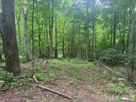 00 Sugar Loaf Mountain Road Marshall NC 28753