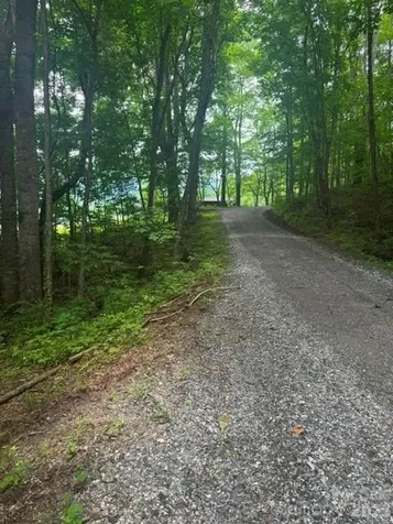 00 Sugar Loaf Mountain Road Marshall NC 28753