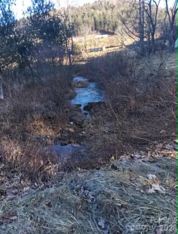 1298 Air Bellows Gap Road Sparta NC 28675