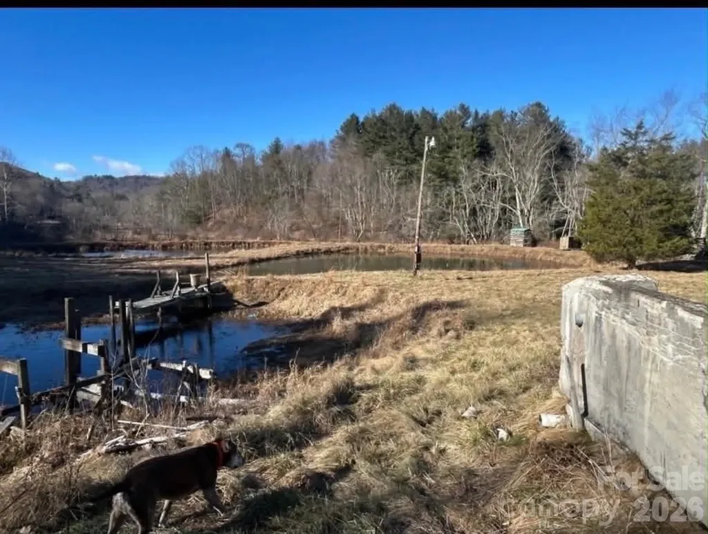 1298 Air Bellows Gap Road Sparta NC 28675