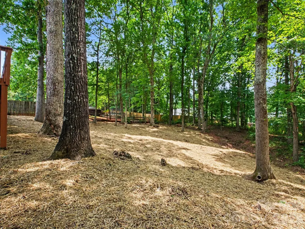 7382 Summit Drive Denver NC 28037
