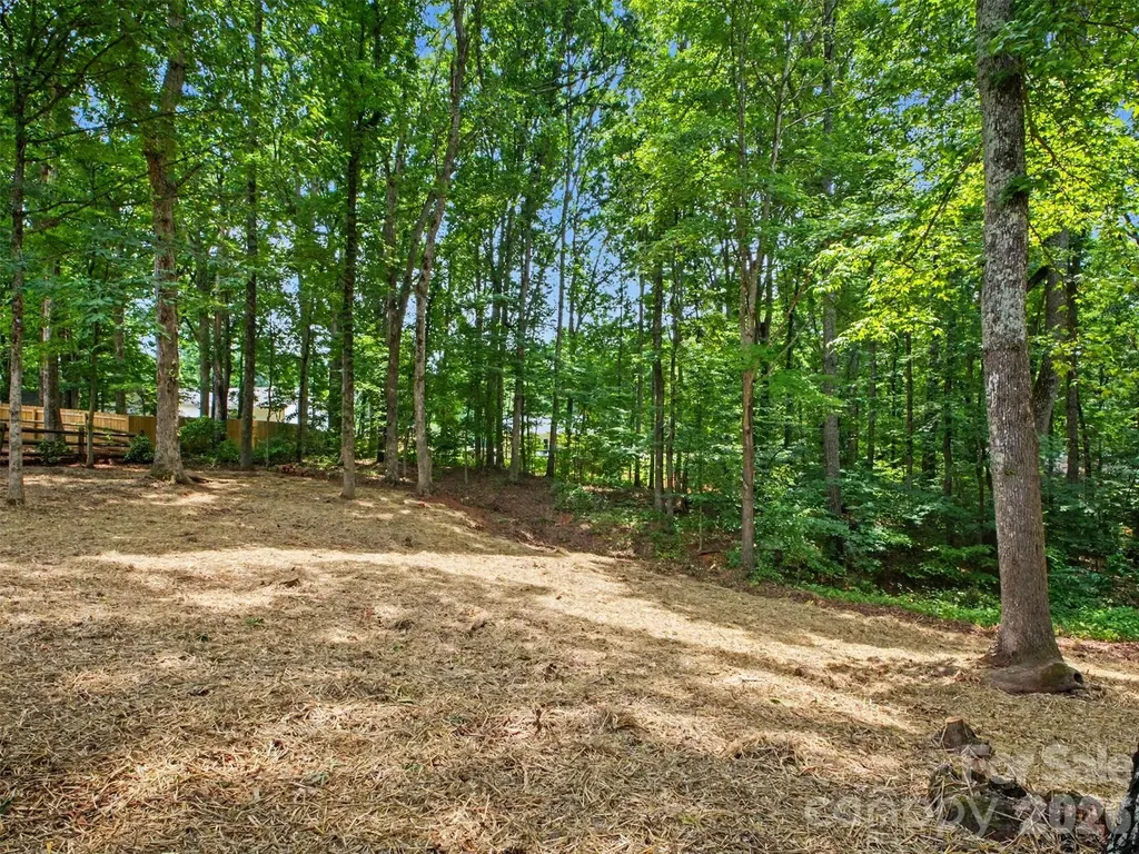 7382 Summit Drive Denver NC 28037
