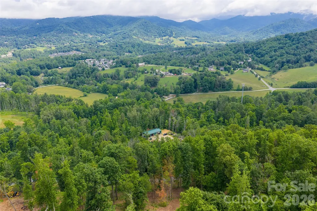 99999 Bear View Road Weaverville NC 28787