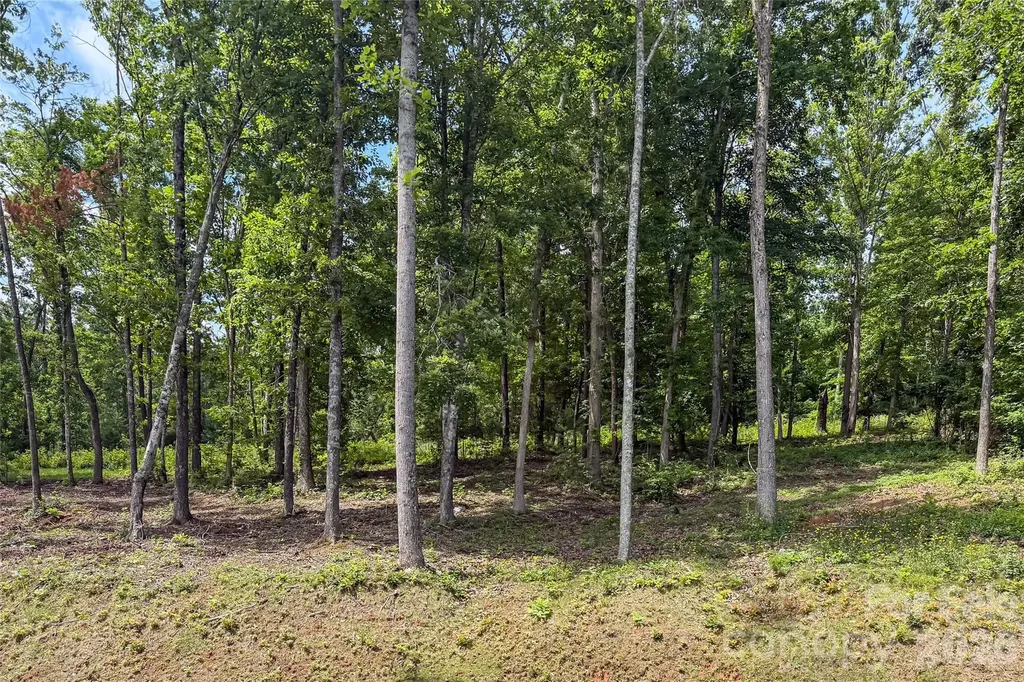 99999 Bear View Road Weaverville NC 28787