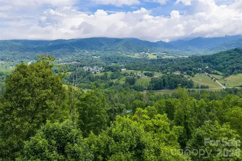 99999 Bear View Road Weaverville NC 28787