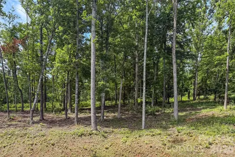 99999 Bear View Road Weaverville NC 28787