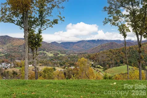 99999 Bear View Road Weaverville NC 28787