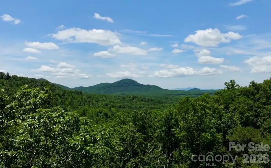 108 Mountain Brook Trail Nebo NC 28761
