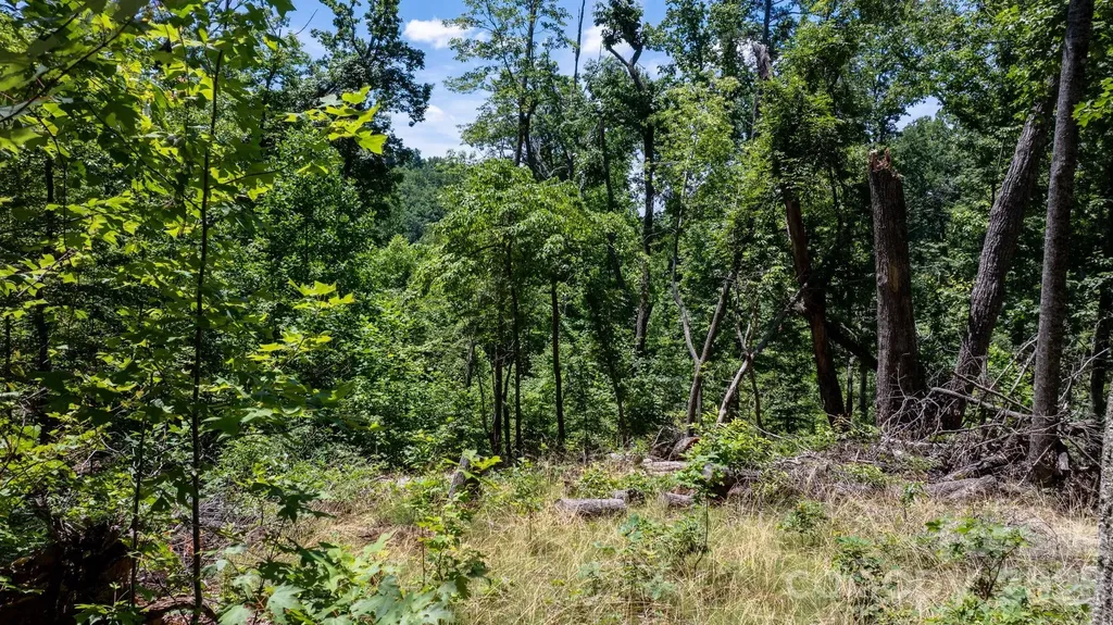 108 Mountain Brook Trail Nebo NC 28761