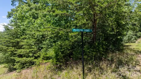 108 Mountain Brook Trail Nebo NC 28761