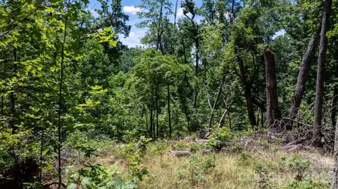 108 Mountain Brook Trail Nebo NC 28761