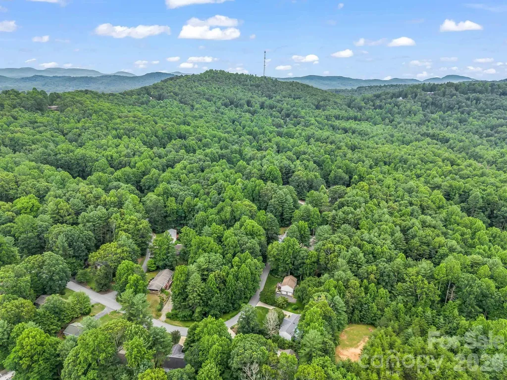 115 Cinnamon Way Flat Rock NC 28731