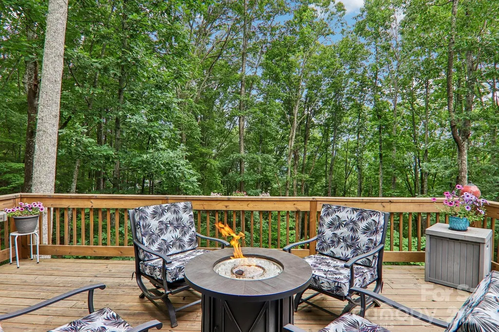 49 Wilderness Trail Candler NC 28715