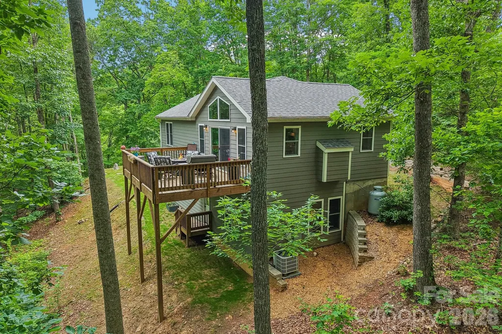 49 Wilderness Trail Candler NC 28715
