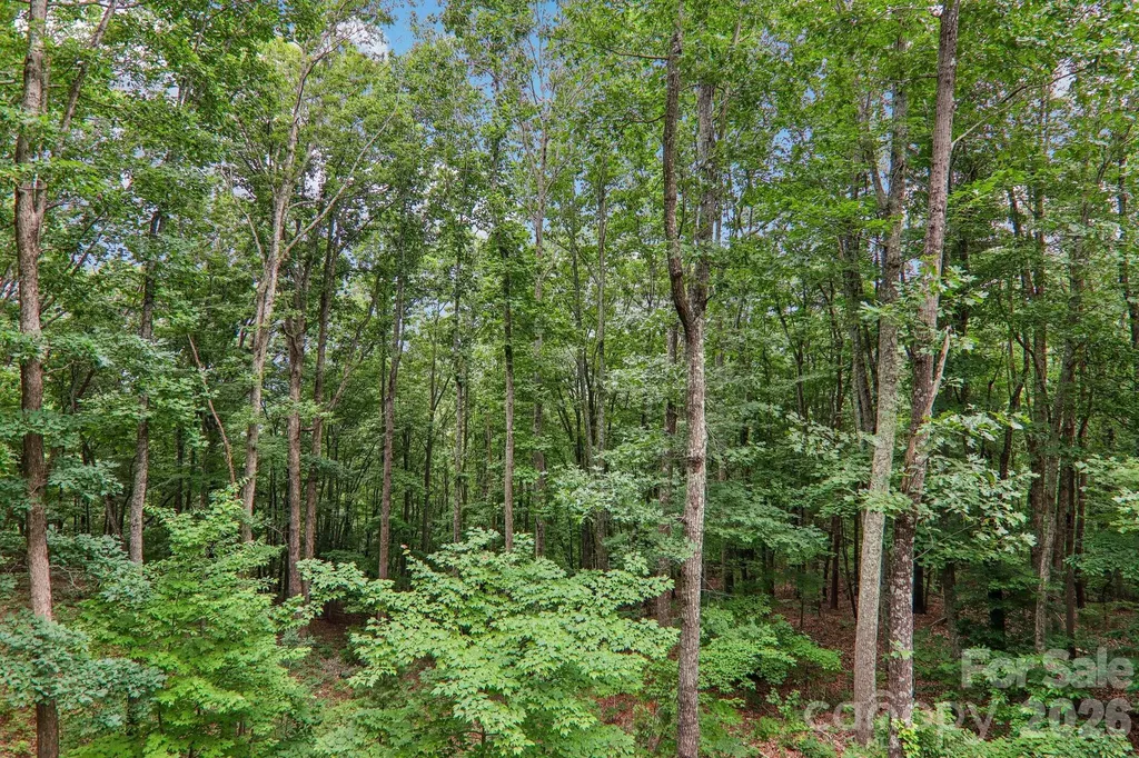 49 Wilderness Trail Candler NC 28715