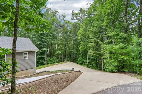49 Wilderness Trail Candler NC 28715