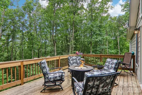 49 Wilderness Trail Candler NC 28715