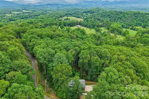 49 Wilderness Trail Candler NC 28715