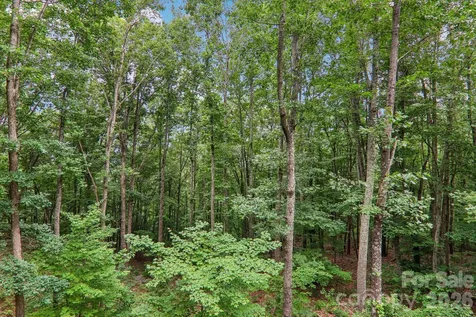 49 Wilderness Trail Candler NC 28715