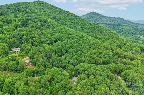 49 Wilderness Trail Candler NC 28715