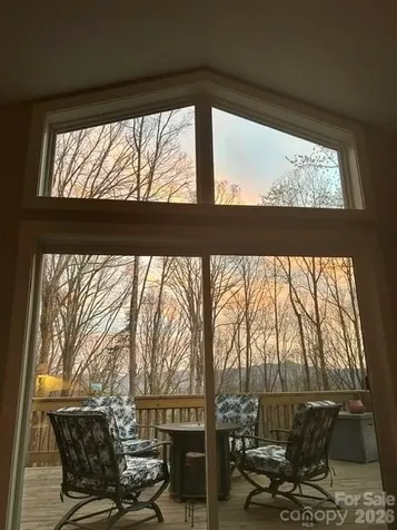 49 Wilderness Trail Candler NC 28715