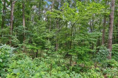 49 Wilderness Trail Candler NC 28715