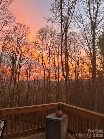 49 Wilderness Trail Candler NC 28715