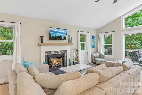 49 Wilderness Trail Candler NC 28715