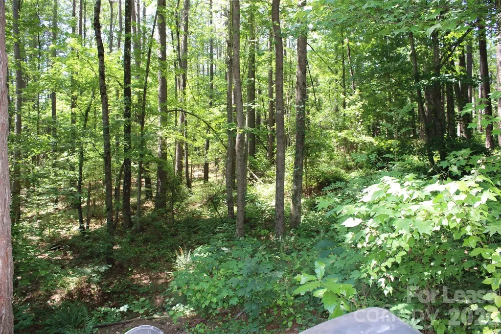 4181 Palm Drive Denver NC 28037