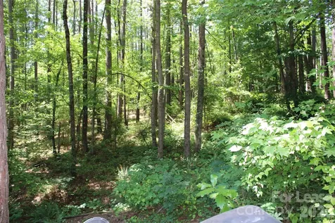 4181 Palm Drive Denver NC 28037