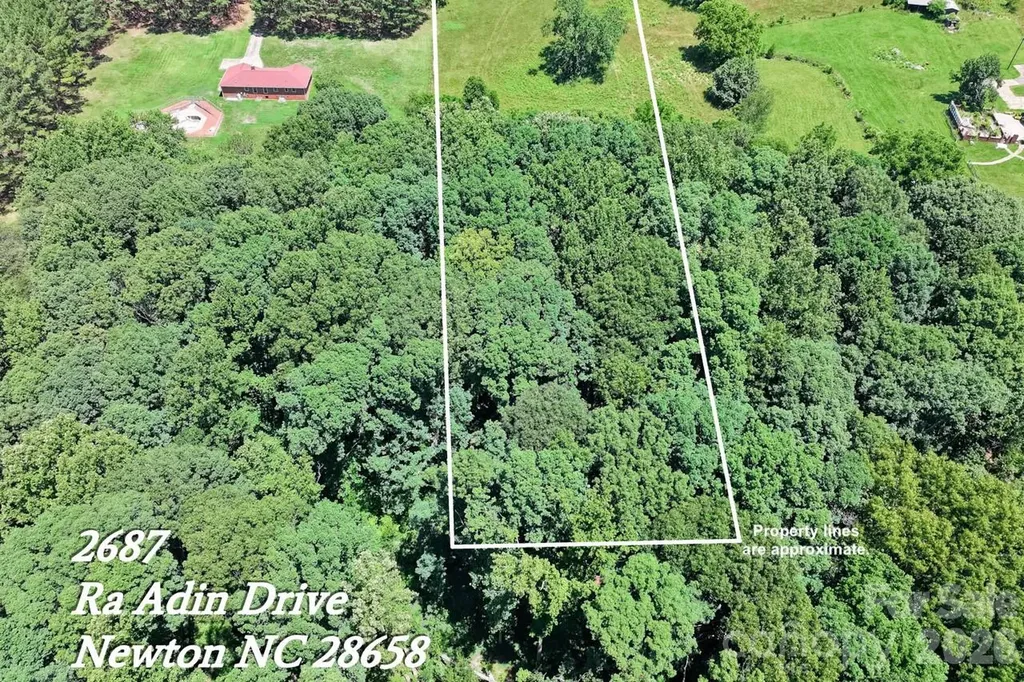 2687 Ra Adin Drive Newton NC 28658