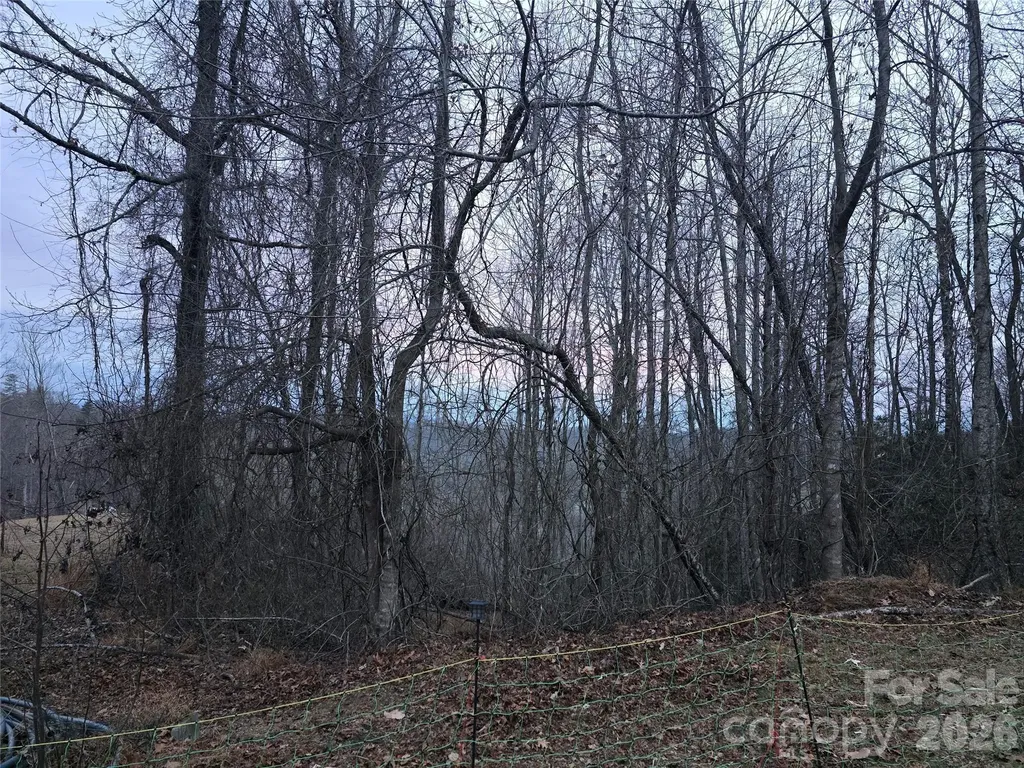 1480 Davis Mountain Road Hendersonville NC 28739