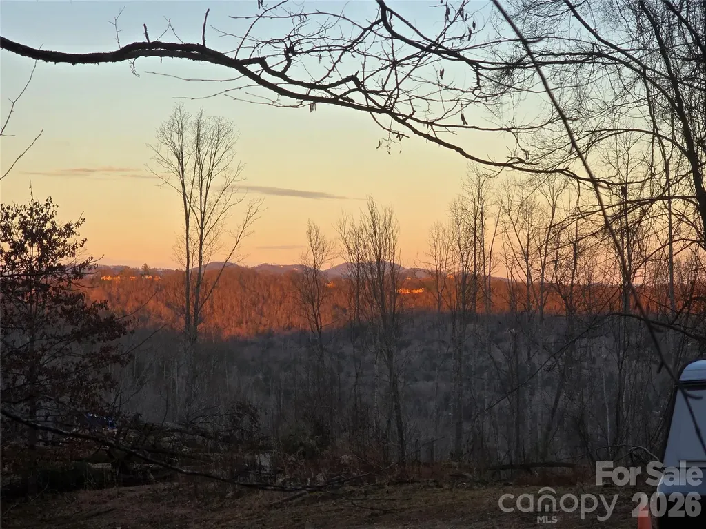 1480 Davis Mountain Road Hendersonville NC 28739