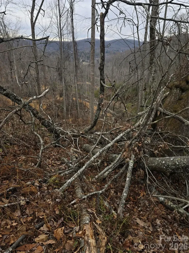 1480 Davis Mountain Road Hendersonville NC 28739