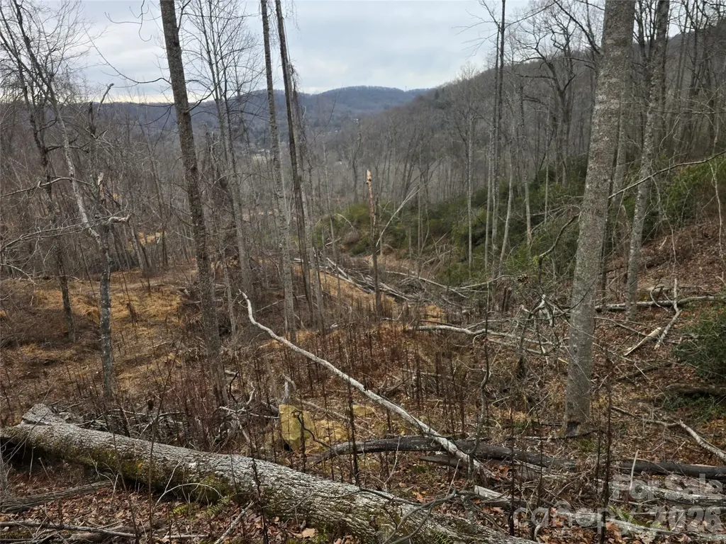 1480 Davis Mountain Road Hendersonville NC 28739