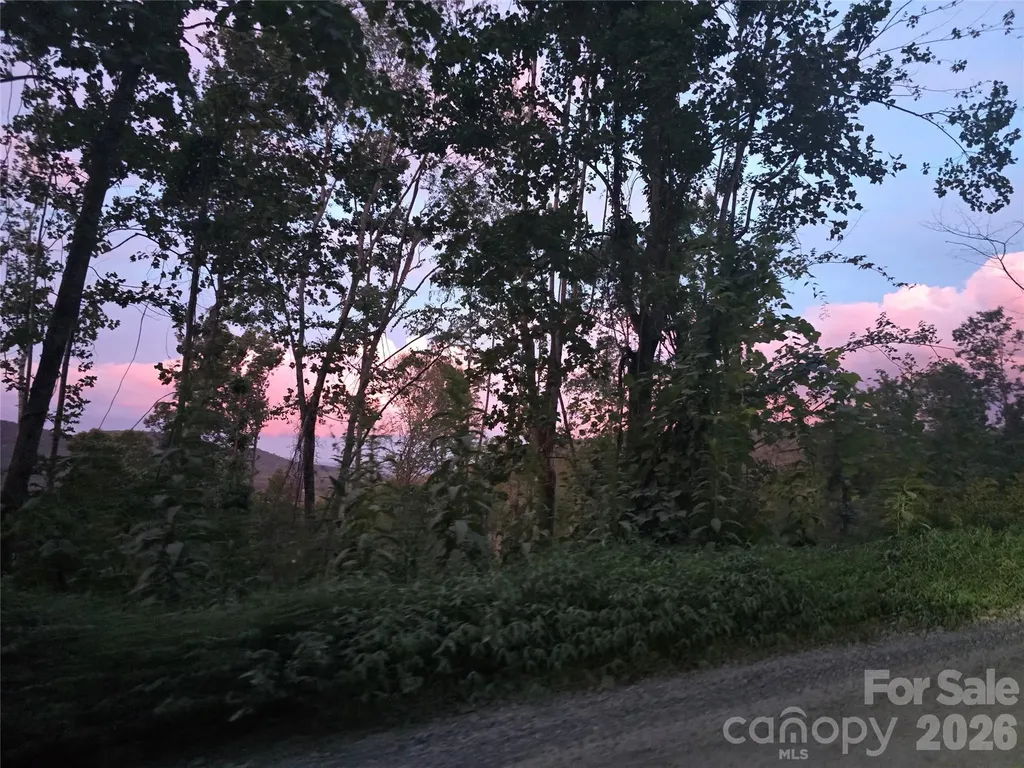 1480 Davis Mountain Road Hendersonville NC 28739