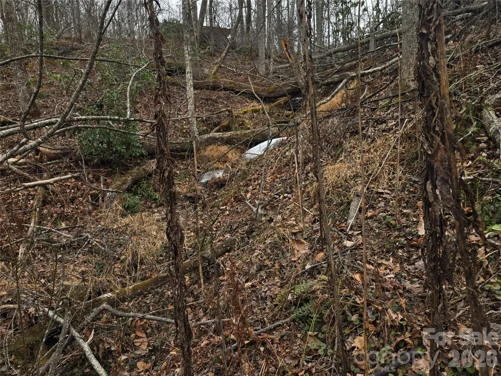 1480 Davis Mountain Road Hendersonville NC 28739