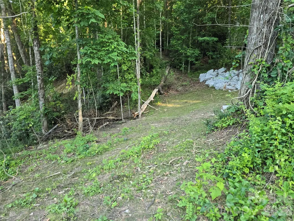 1480 Davis Mountain Road Hendersonville NC 28739