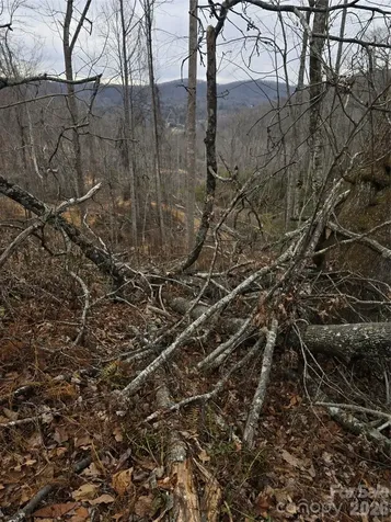 1480 Davis Mountain Road Hendersonville NC 28739