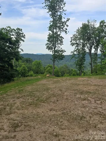 1480 Davis Mountain Road Hendersonville NC 28739