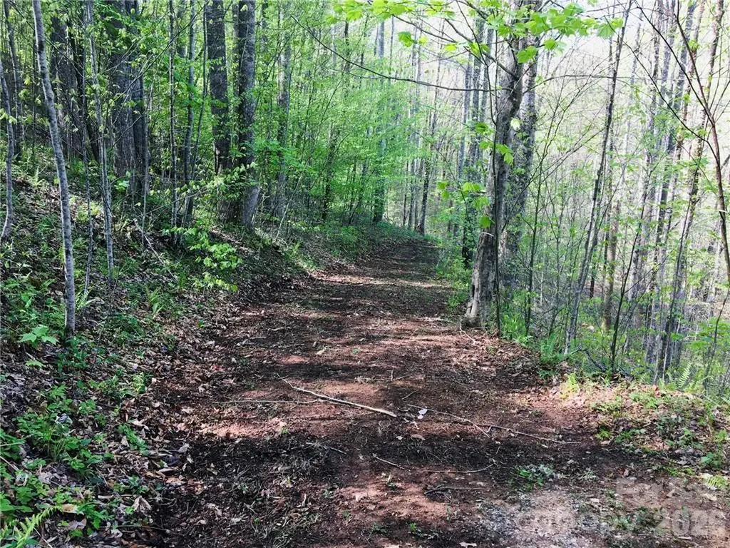 99 Fern Hill Drive Mars Hill NC 28754