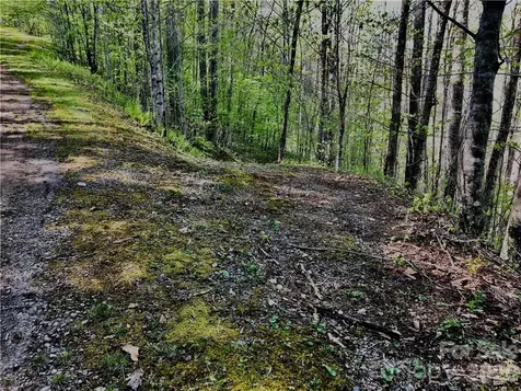 99 Fern Hill Drive Mars Hill NC 28754