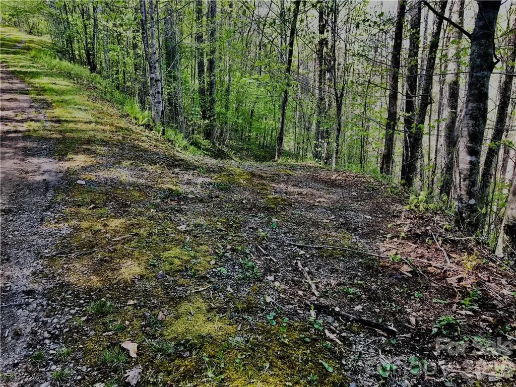 99 &57 Fern Hill Drive Mars Hill NC 28754