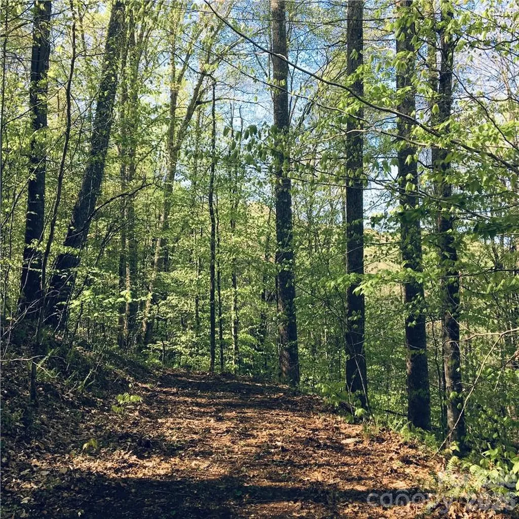 57 Fern Hill Drive Mars Hill NC 28754